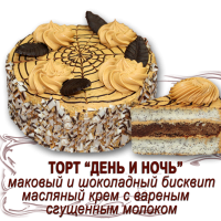 Торт Чистопруденск 900гр (День и Ночь) корекс