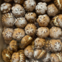 Хризантемки творог 2,5кг Короткова печенье