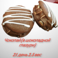 ЧОКО ПАЙ в глазури 2,5кг Короткова печенье