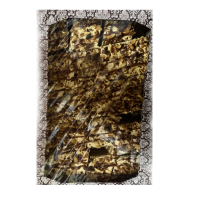 Суси-Кейк !!! Сникерс 2кг пирожное