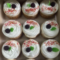 ЕЖЕВИКА 2,5кг Савченко пирожное